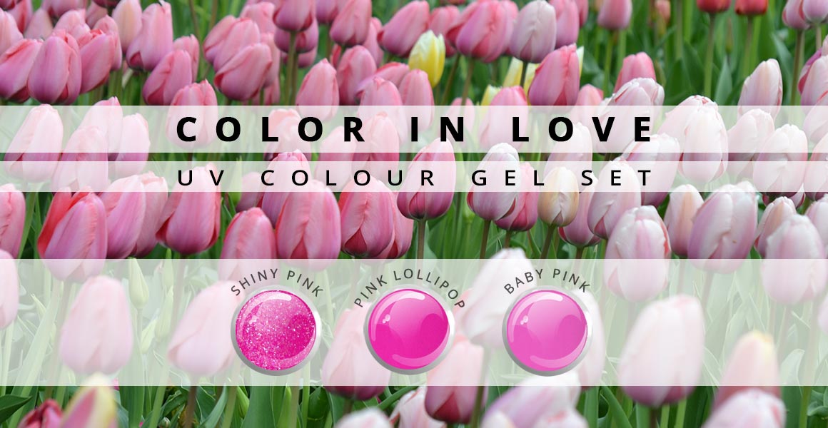 Nails and Beauty Factory Farbgel Set Color in Love 23 01